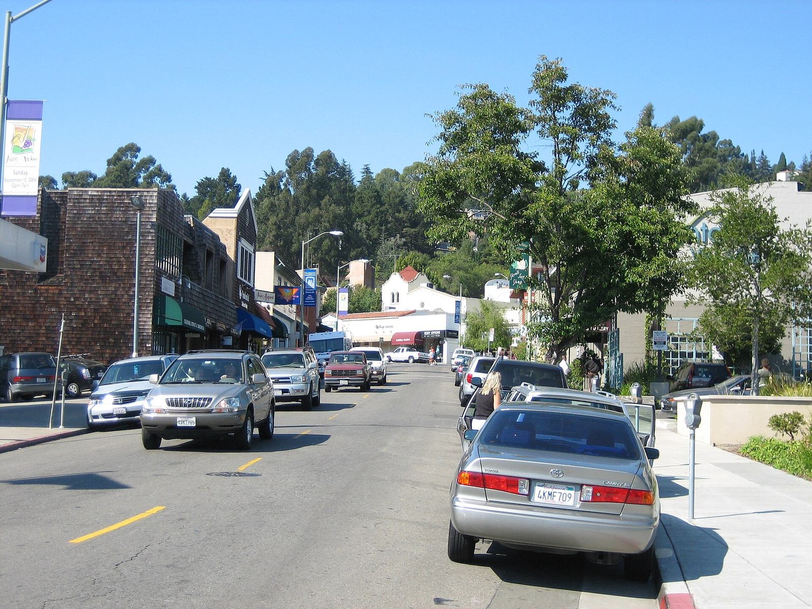 Buildings and trees in Montclair Village, Oakland
