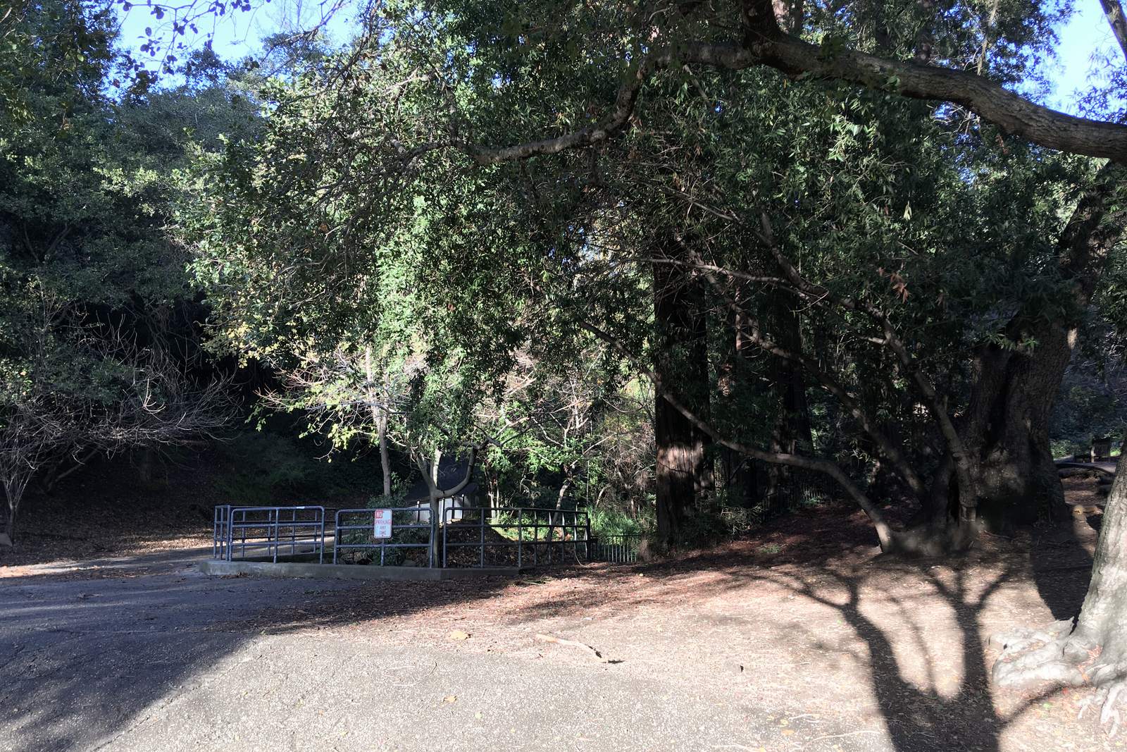 Green lawn, trees, and walking paths in Piedmont Park