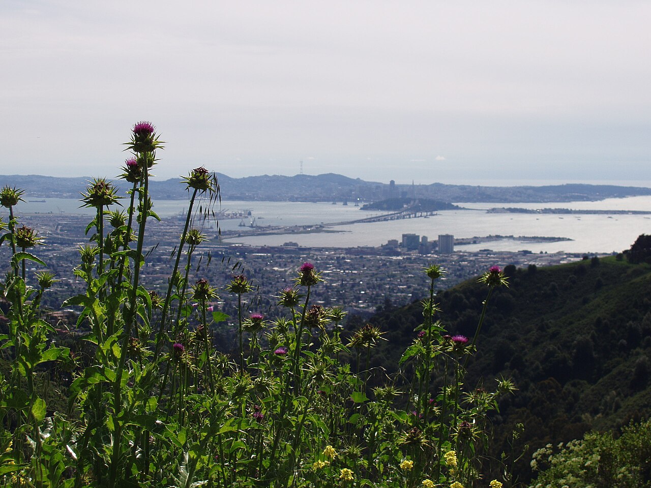 View west over Berkeley and the Bay from Tilden Regional Park