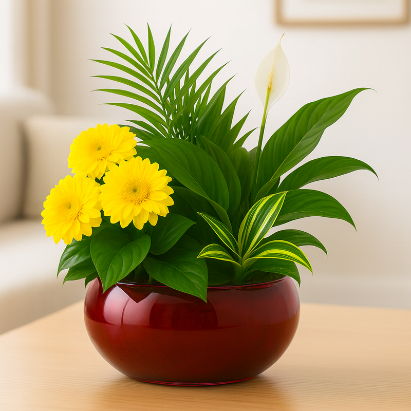 Lush Designer Garden with Bright Accent Blooms — Plant Gift selection — BF-0154