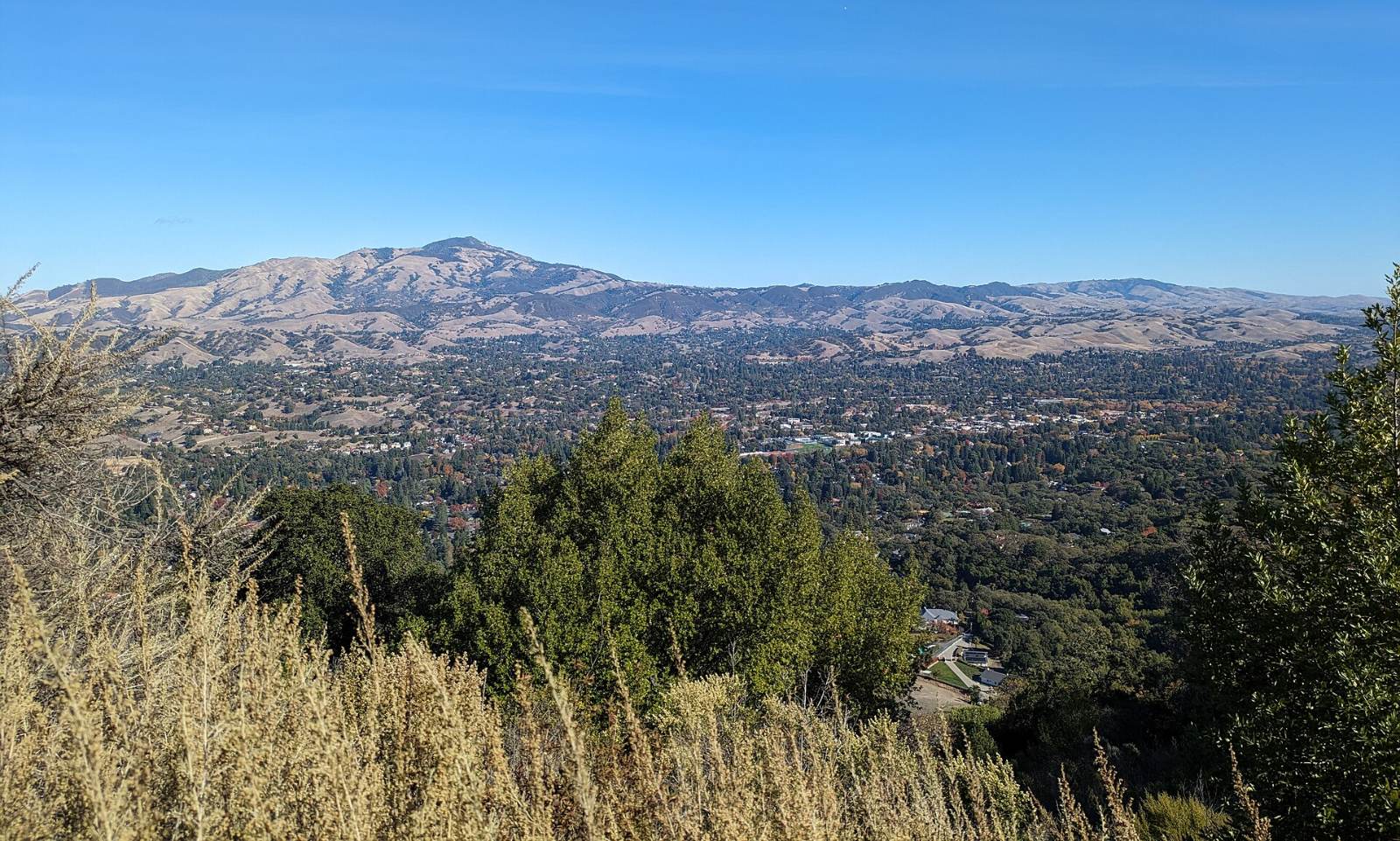 Golden hills of Las Trampas with Mount Diablo in the distance