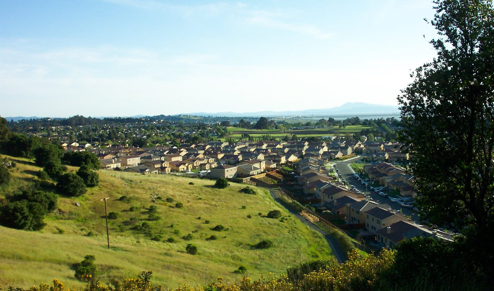 Homes in American Canyon with green hills behind