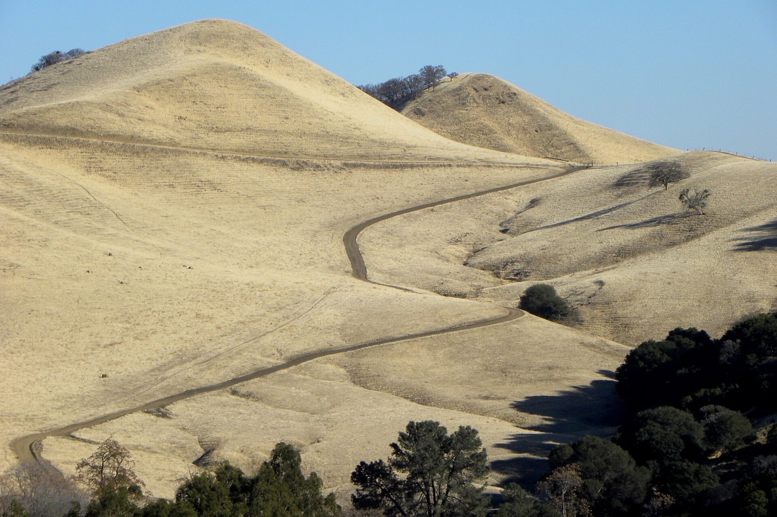 Rolling golden hills and a trail at Black Diamond Mines Regional Preserve