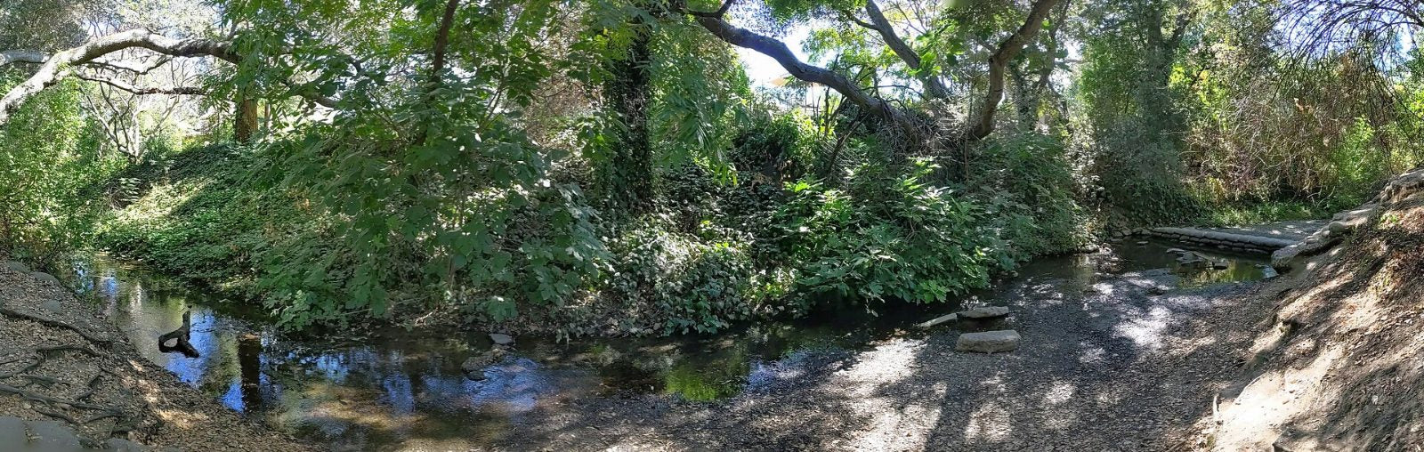 Matadero Creek running under trees at Bol Park in Barron Park