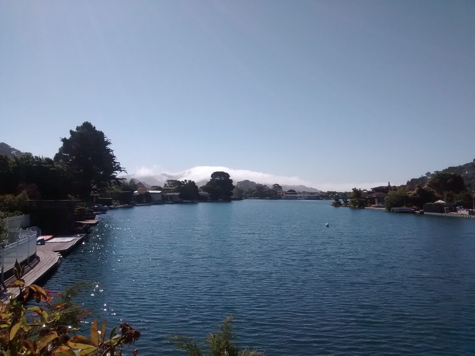 Belvedere Lagoon with homes and docks along the water