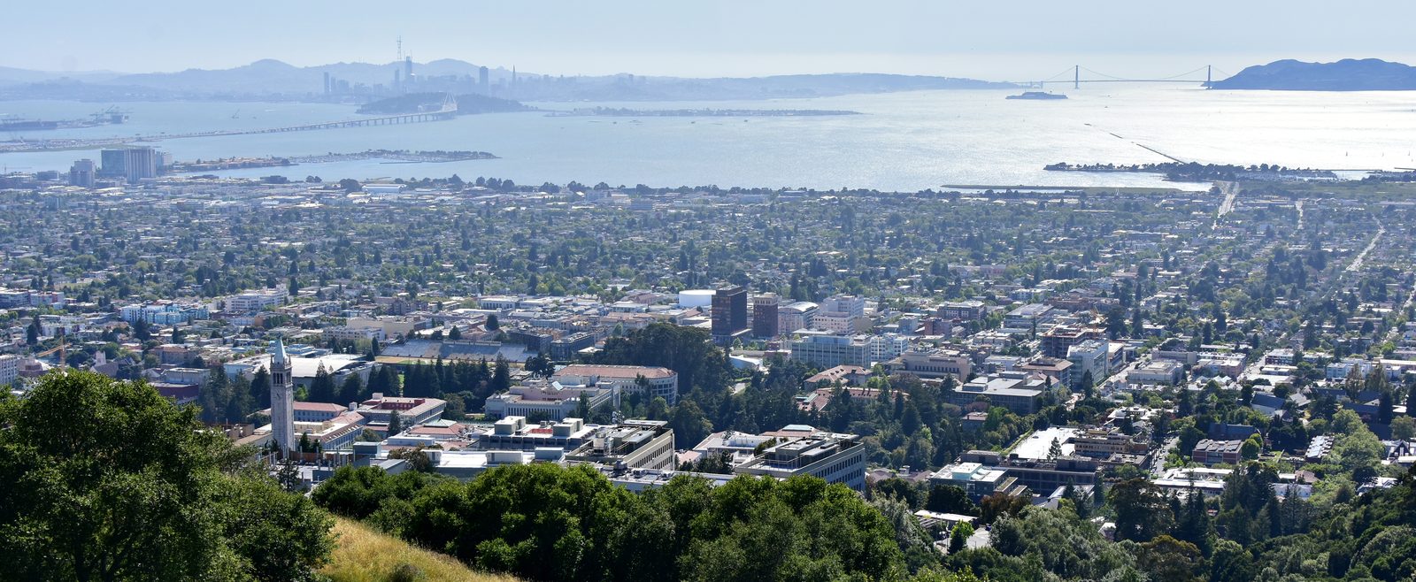 Berkeley cityscape with San Francisco Bay in the distance