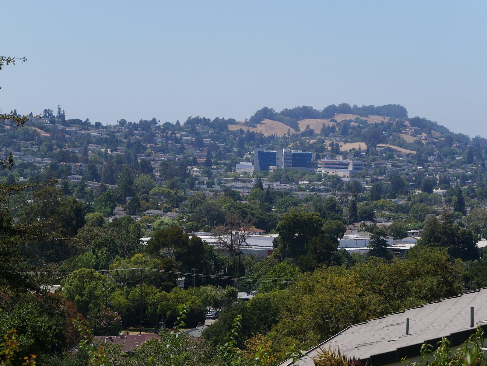 Homes and trees across the hills of west Castro Valley