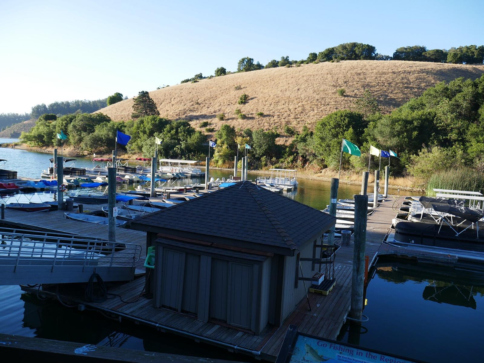 Boats docked at the Lake Chabot marina below golden hills