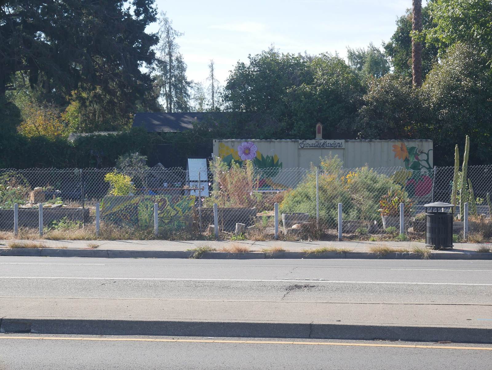 Raised beds and young plants in the Cherryland community garden