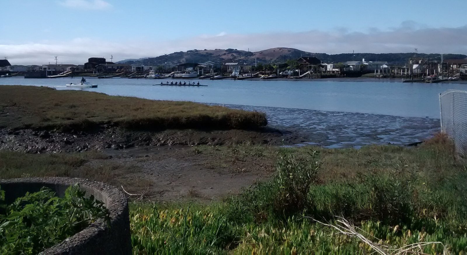 Rowers on Corte Madera Creek with hills in the background