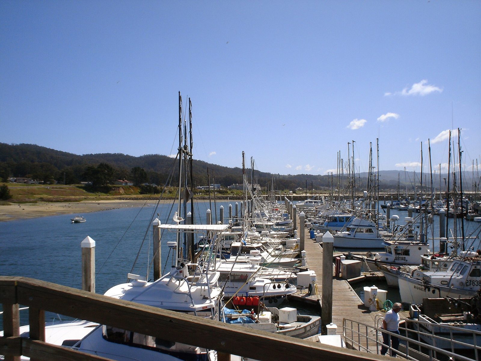 Fishing and pleasure boats at Pillar Point Harbor near El Granada