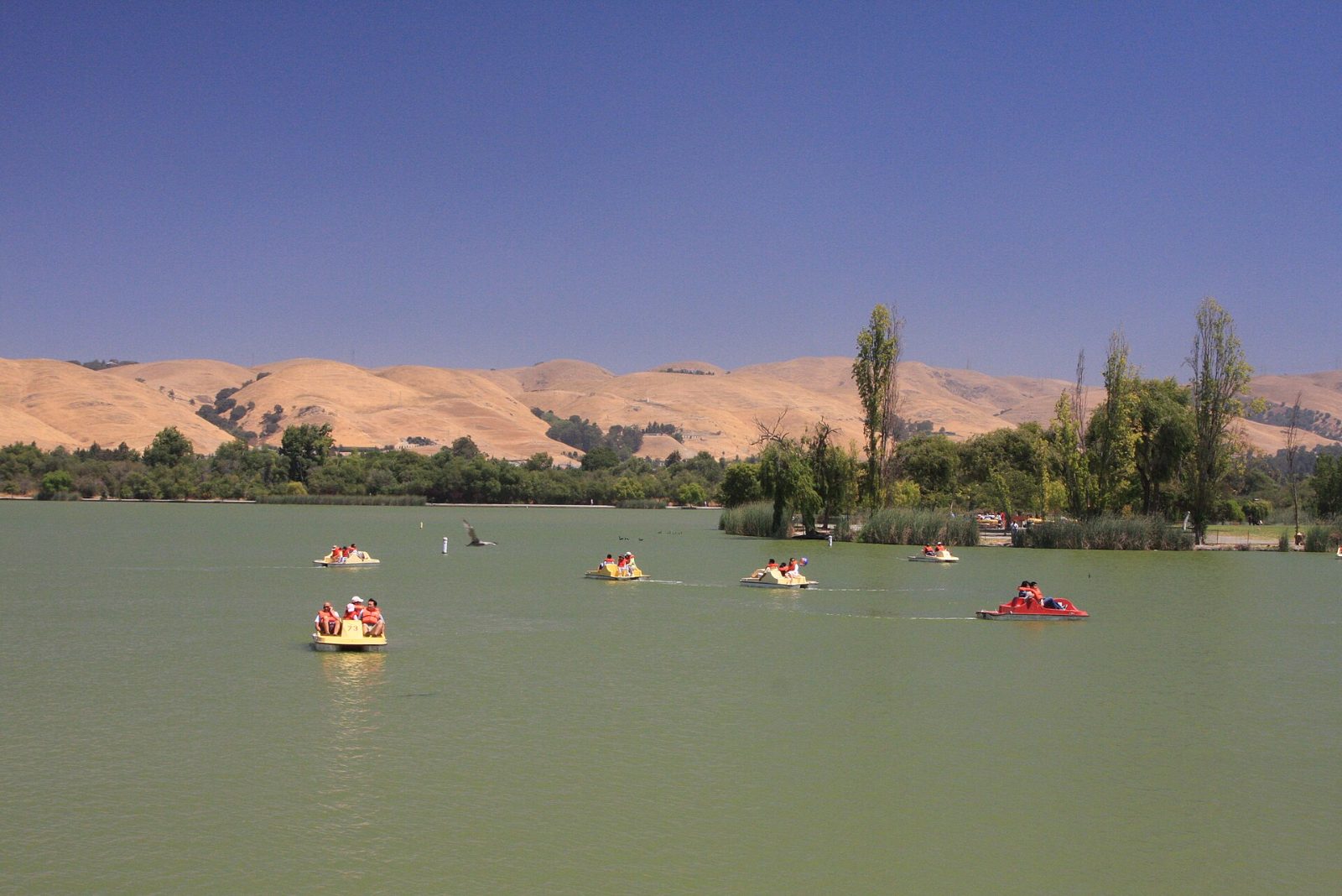 Pedal boats on Lake Elizabeth with the hills of Fremont behind