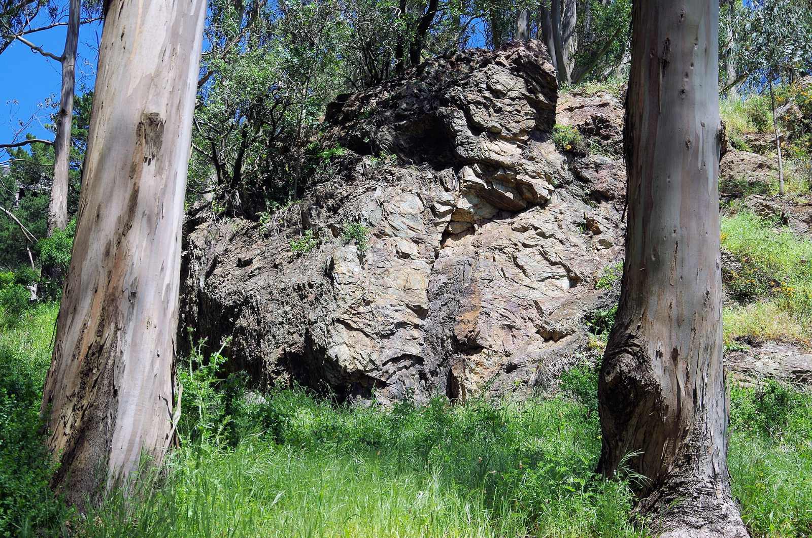 Rock outcroppings and eucalyptus trees in Glen Canyon Park