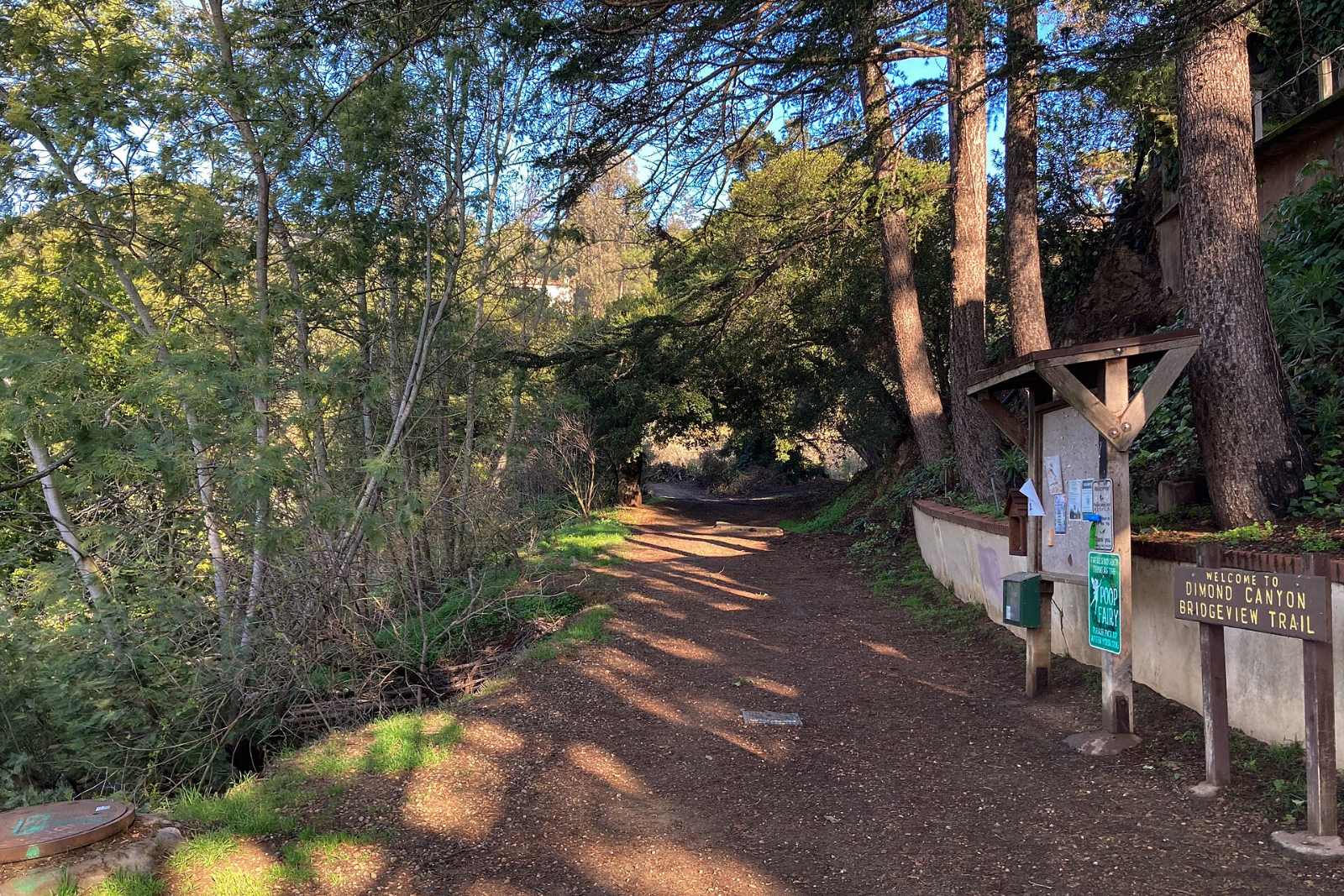 Wooded trail in Dimond Canyon Park near Glenview, Oakland