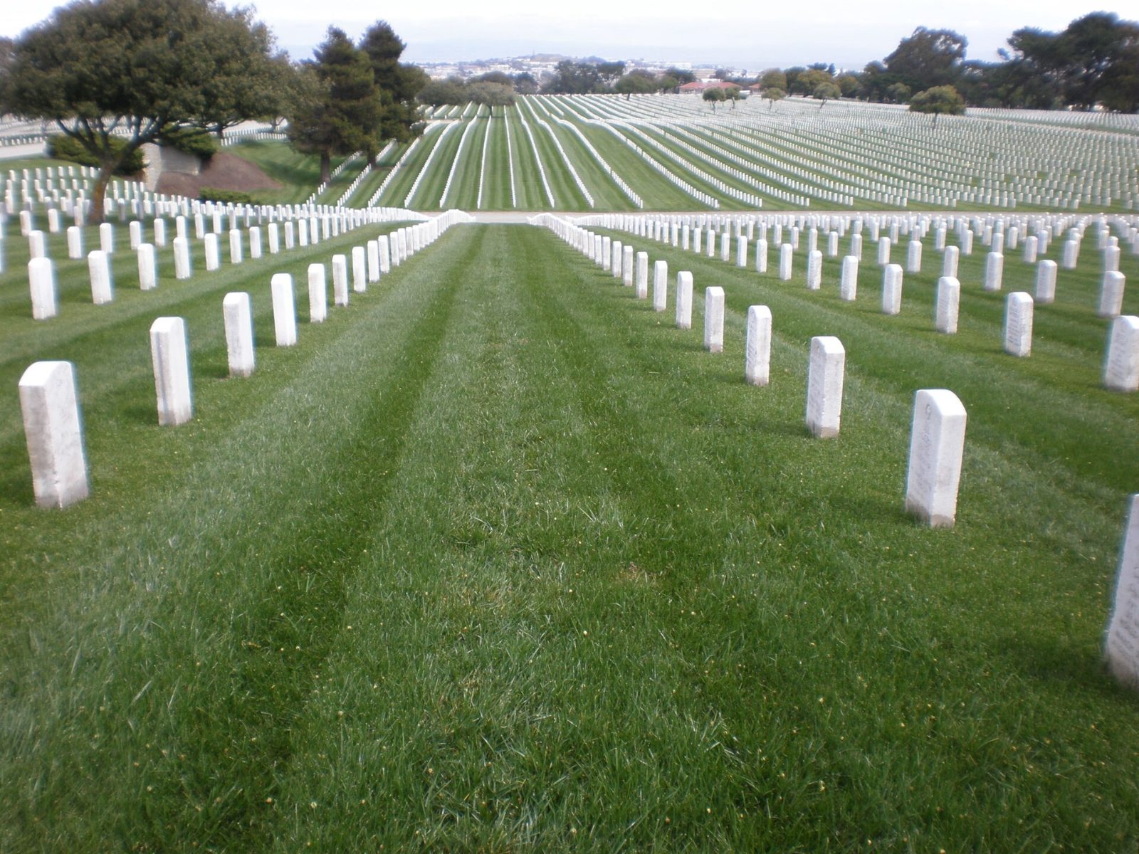 Rows of white headstones in Section C of Golden Gate National Cemetery