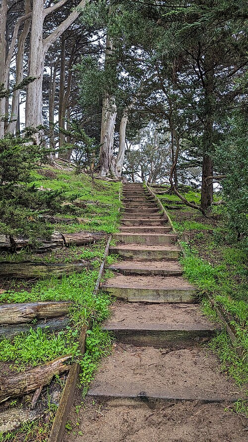 Wooded stairway in Buena Vista Park