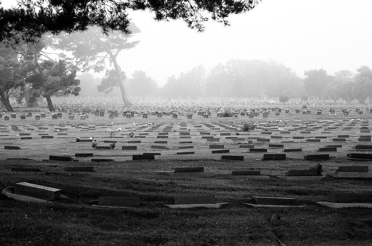 Rows of memorial markers beneath mature trees at Holy Cross Catholic Cemetery in Colma