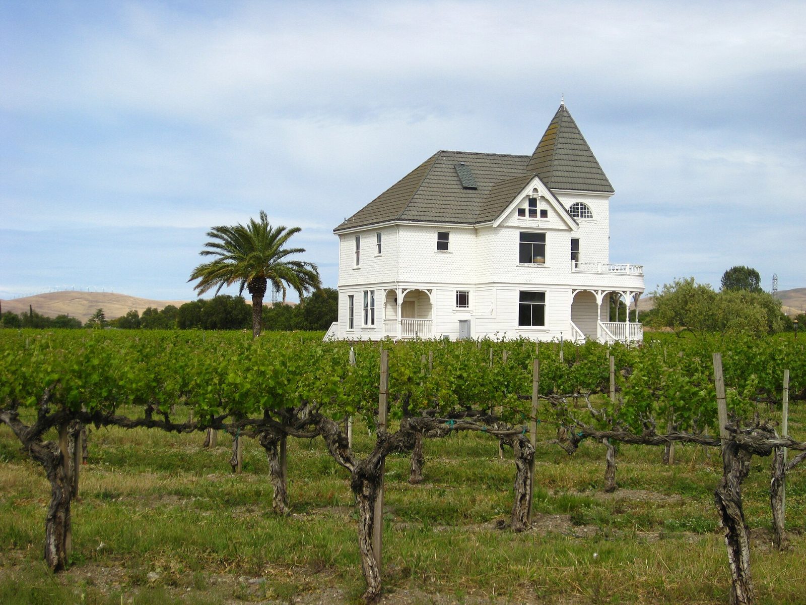 A white two-story farmhouse surrounded by rows of grapevines