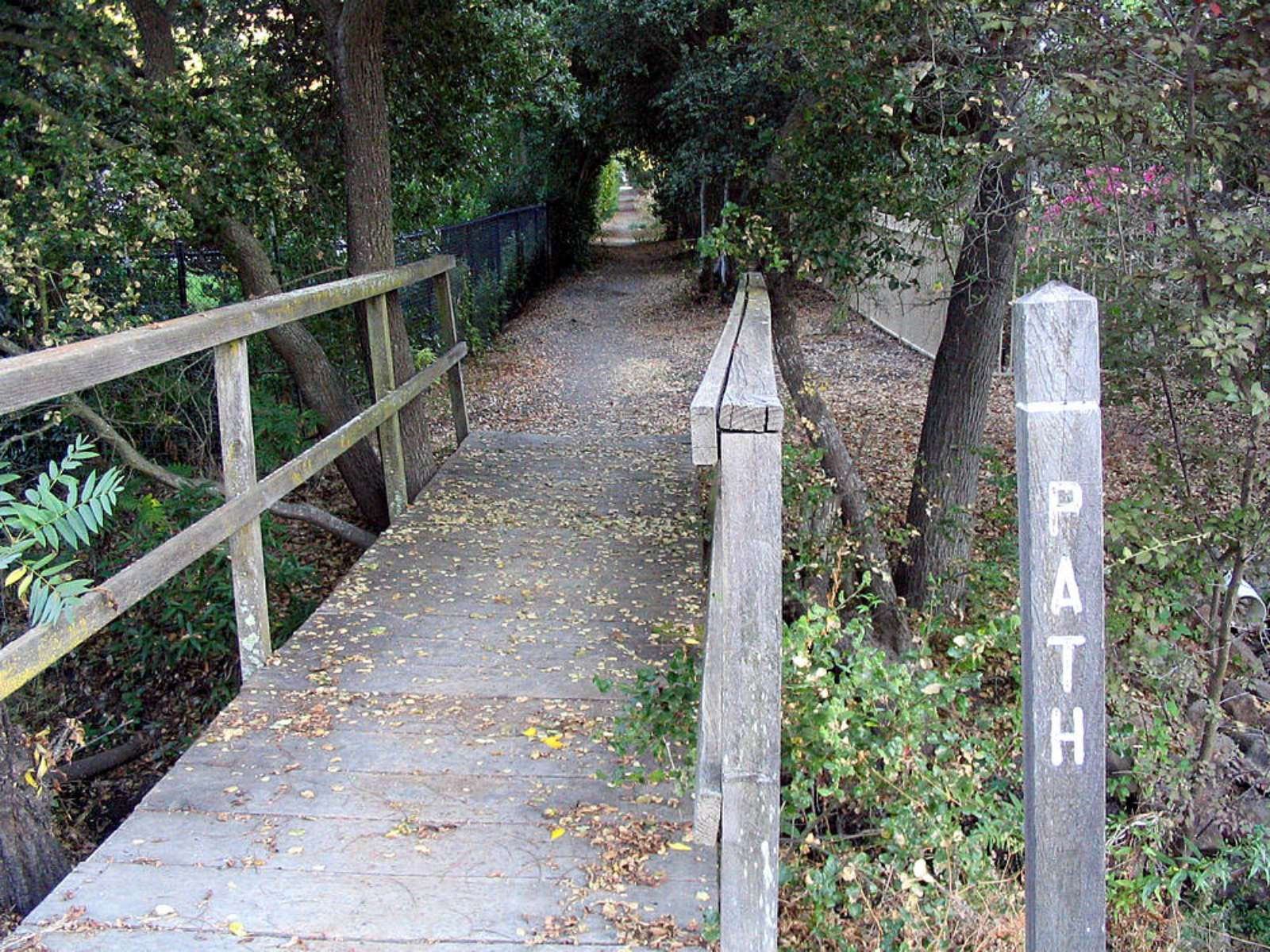 A narrow wooden footbridge on a wooded path in Los Altos Hills