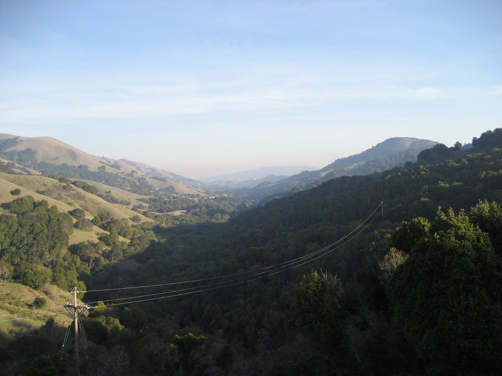 Wooded hills and a green valley in the Las Gallinas Valley near Lucas Valley