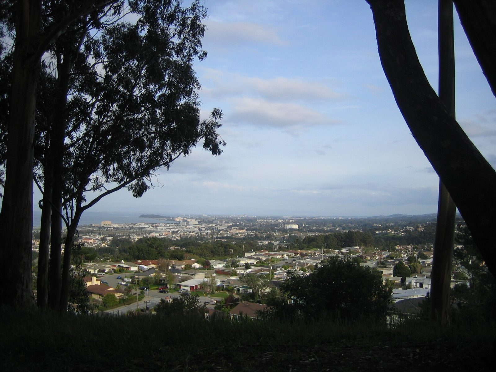 Millbrae homes and trees seen from the hills above the city