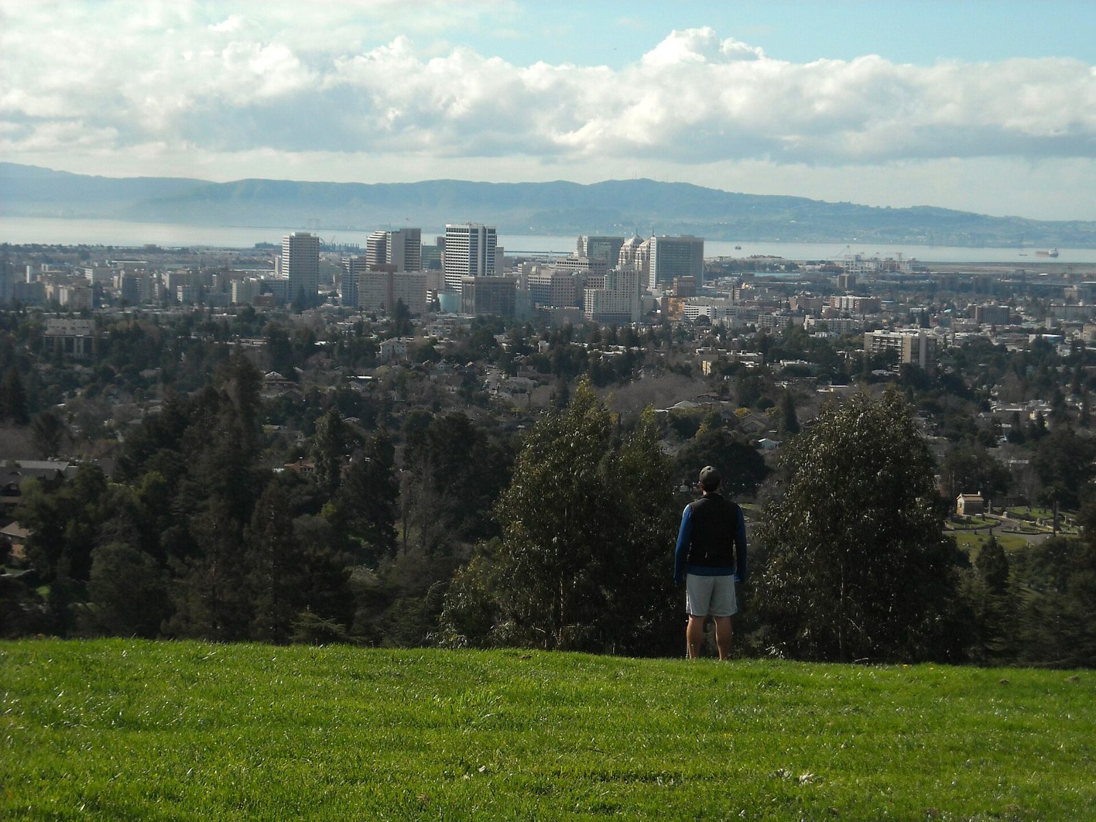 Tree-lined grounds and monuments at Mountain View Cemetery in Oakland