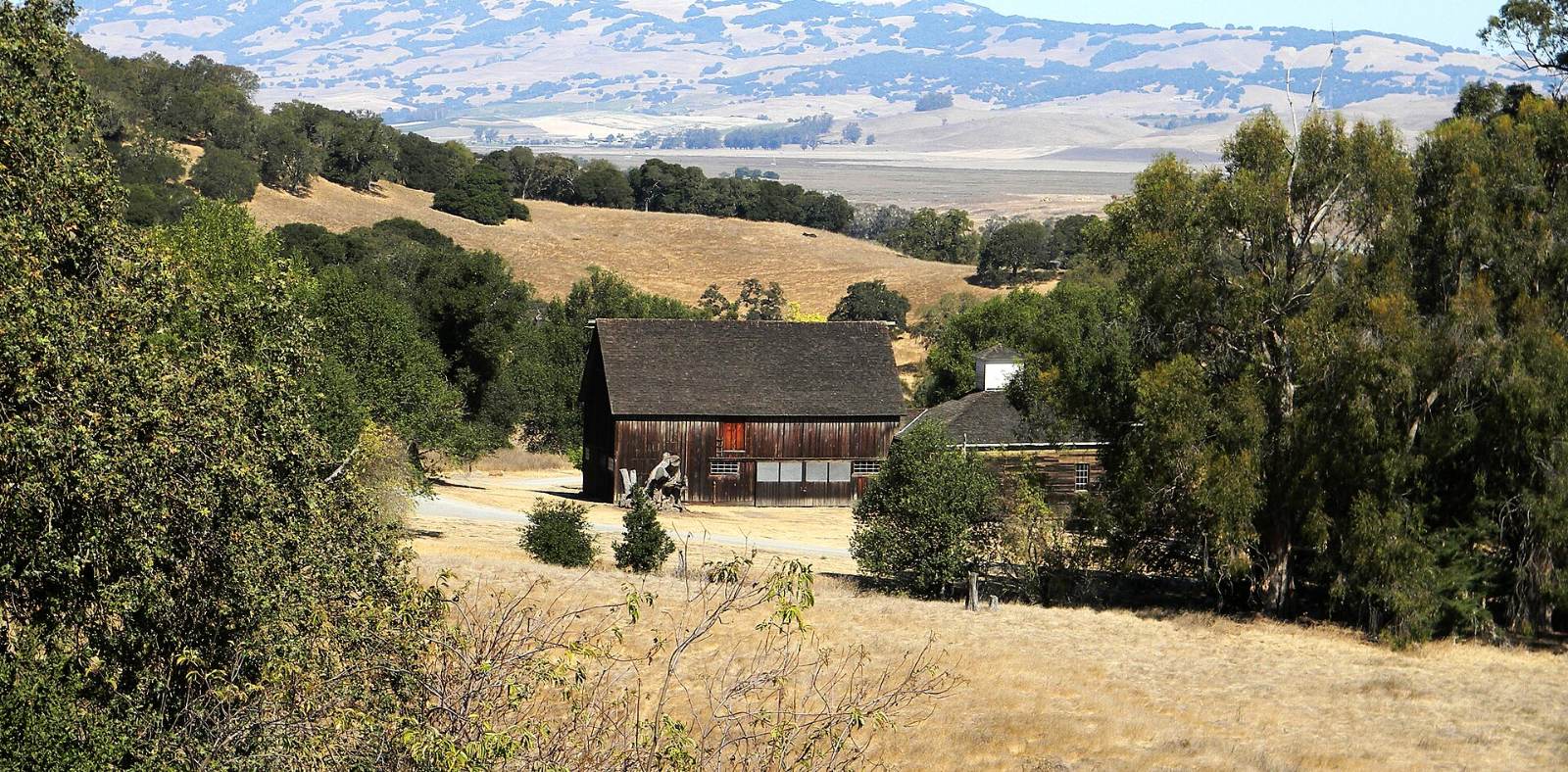 The historic Burdell barn among golden hills at Olompali State Historic Park