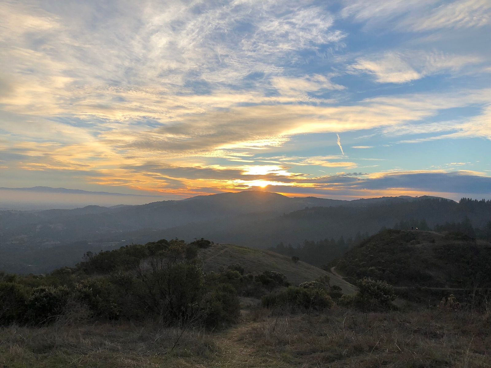 Morning light over the wooded hills of Portola Valley