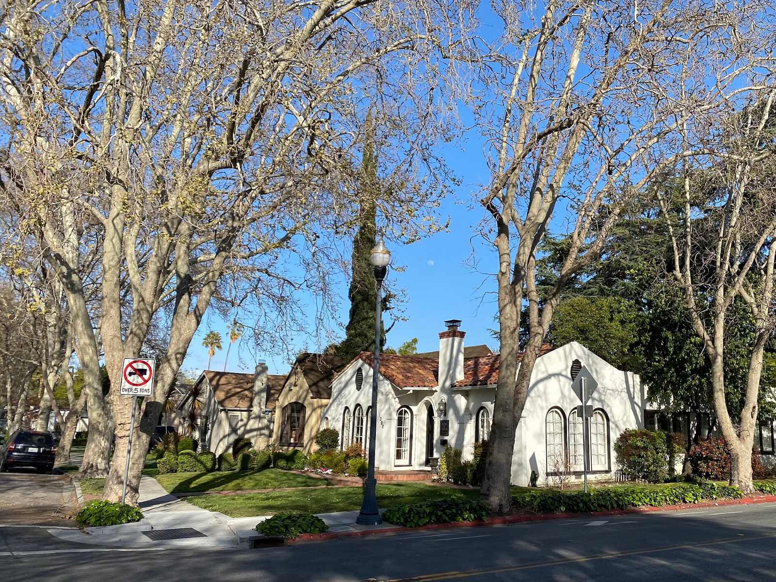 Homes along a tree-lined street in the Rose Garden district of San Jose