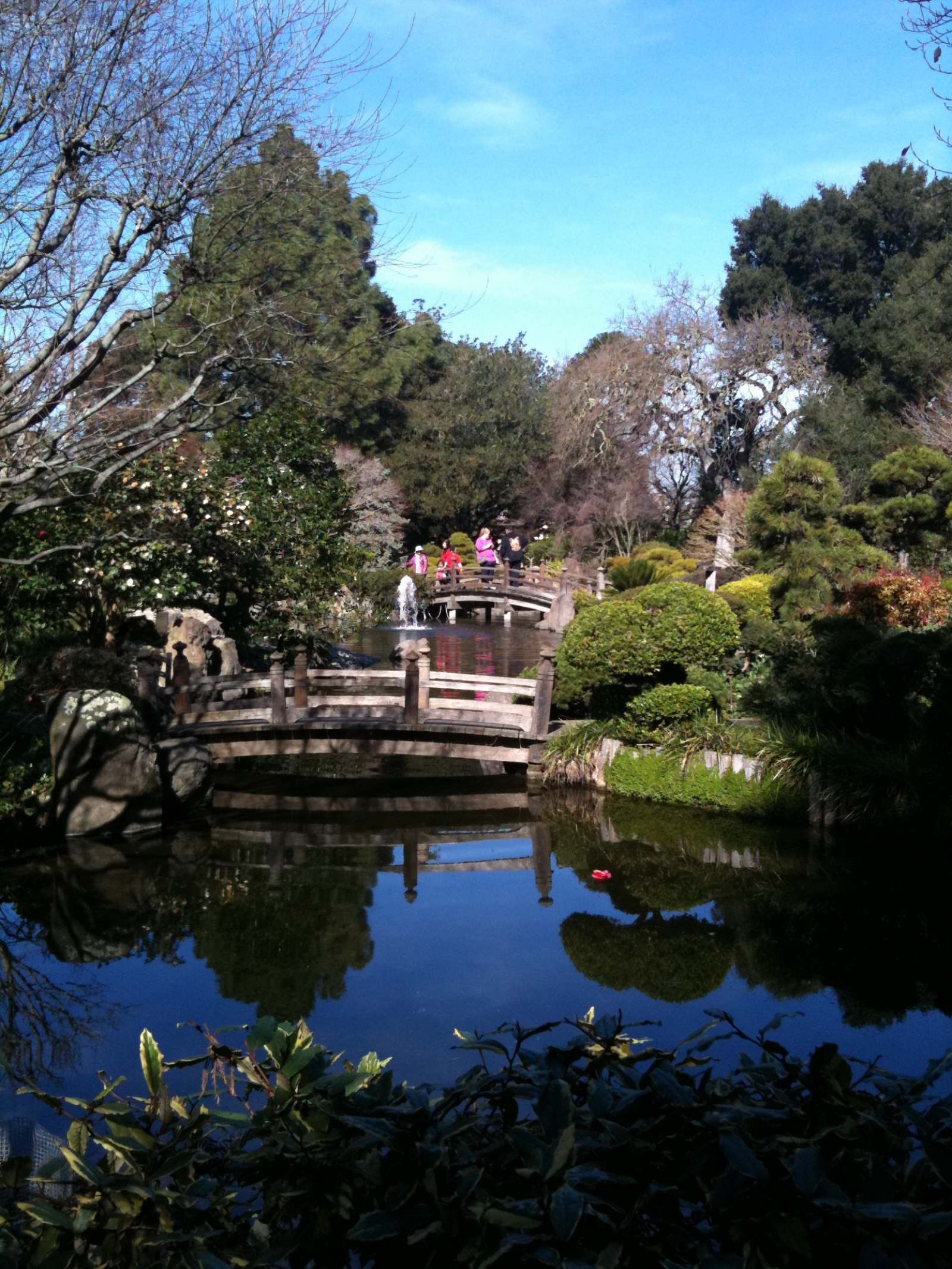 A pond and garden path in Central Park, San Mateo