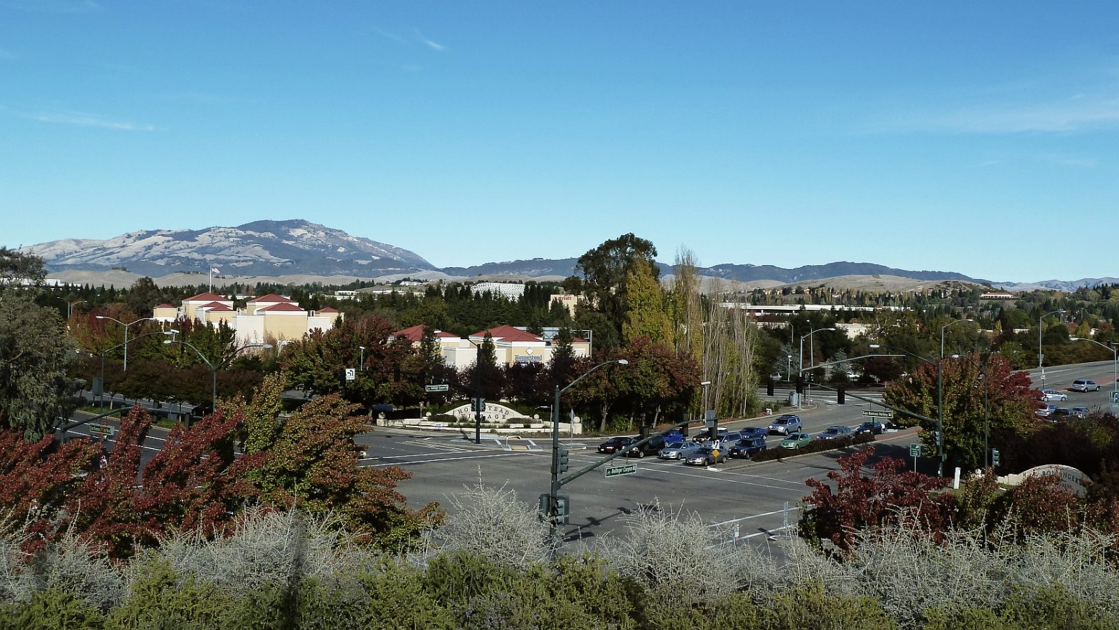 San Ramon neighborhoods and trees with Mount Diablo rising in the distance