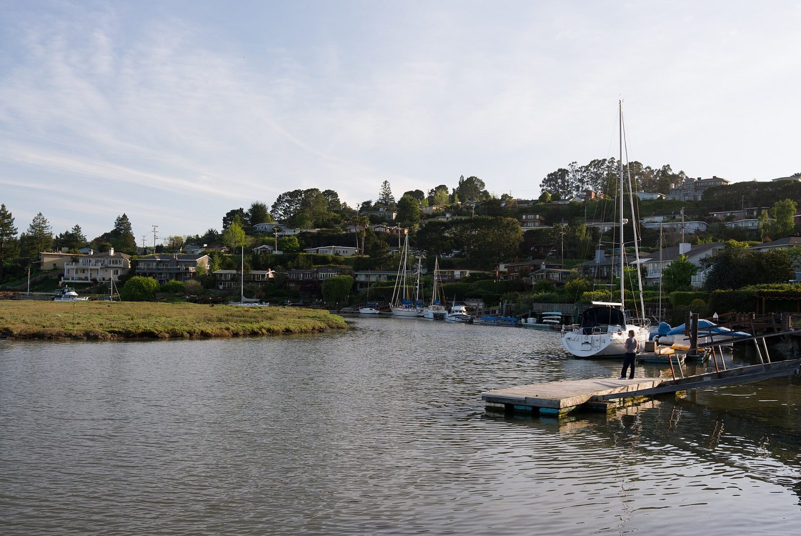 Sailboats moored on Richardson Bay off Strawberry with homes on the hill