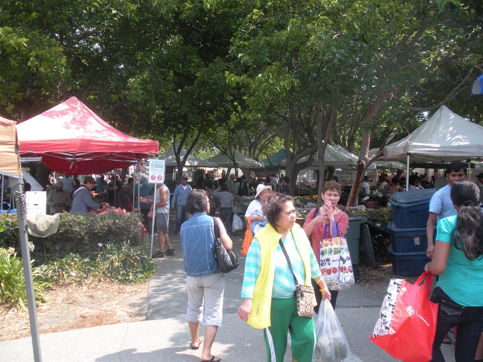 Shoppers under canopies at the Union City farmers market