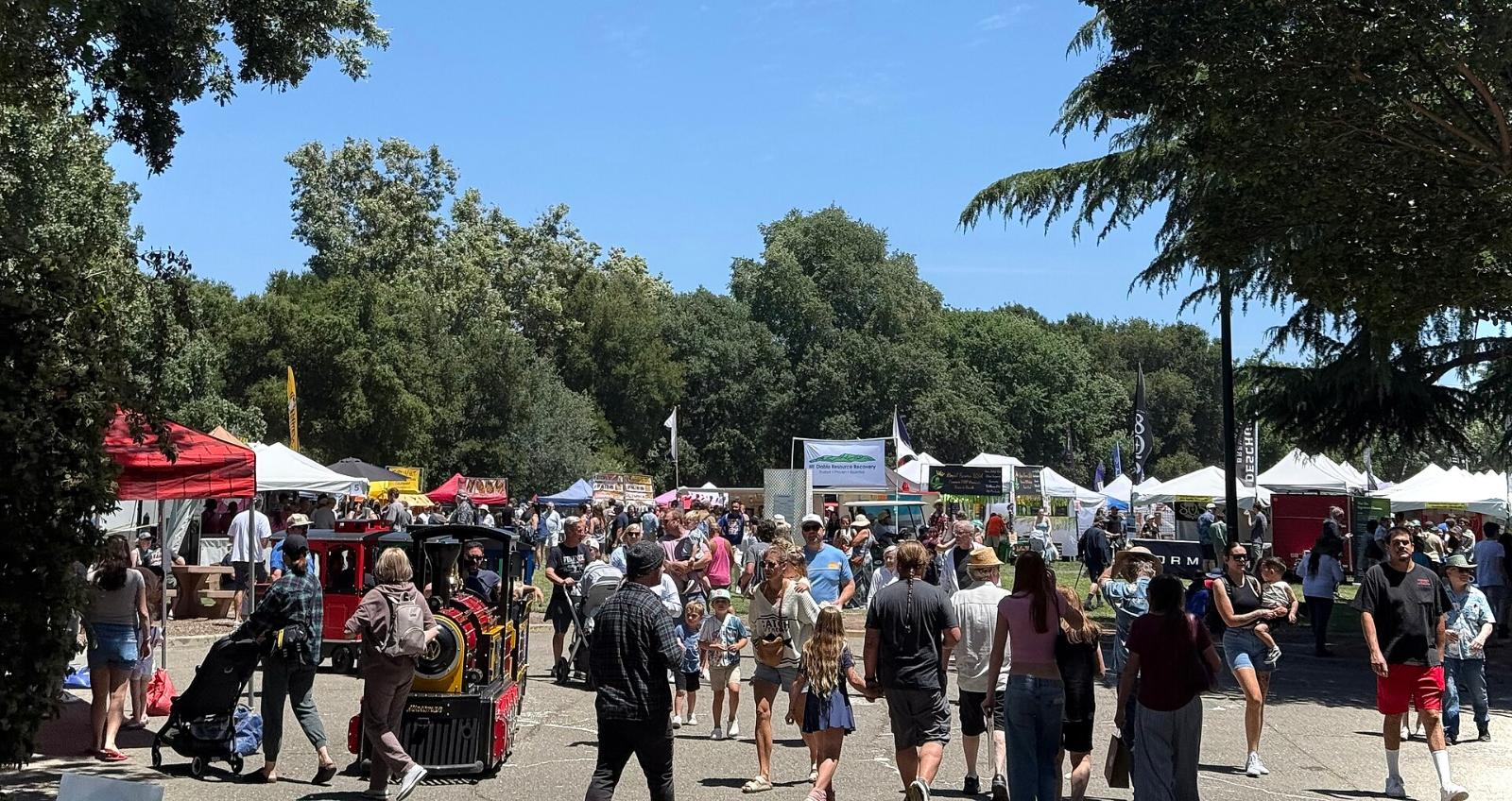 Crowds walking past booths and tents at the Walnut Creek Art and Wine Festival