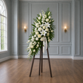 Ivory Ascending Remembrance — Standard selection — BF-0058
