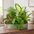 Harmony Green Garden — One Size selection — BF-0236