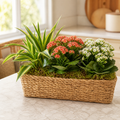 Blooming Wicker Garden — One Size selection — BF-0239